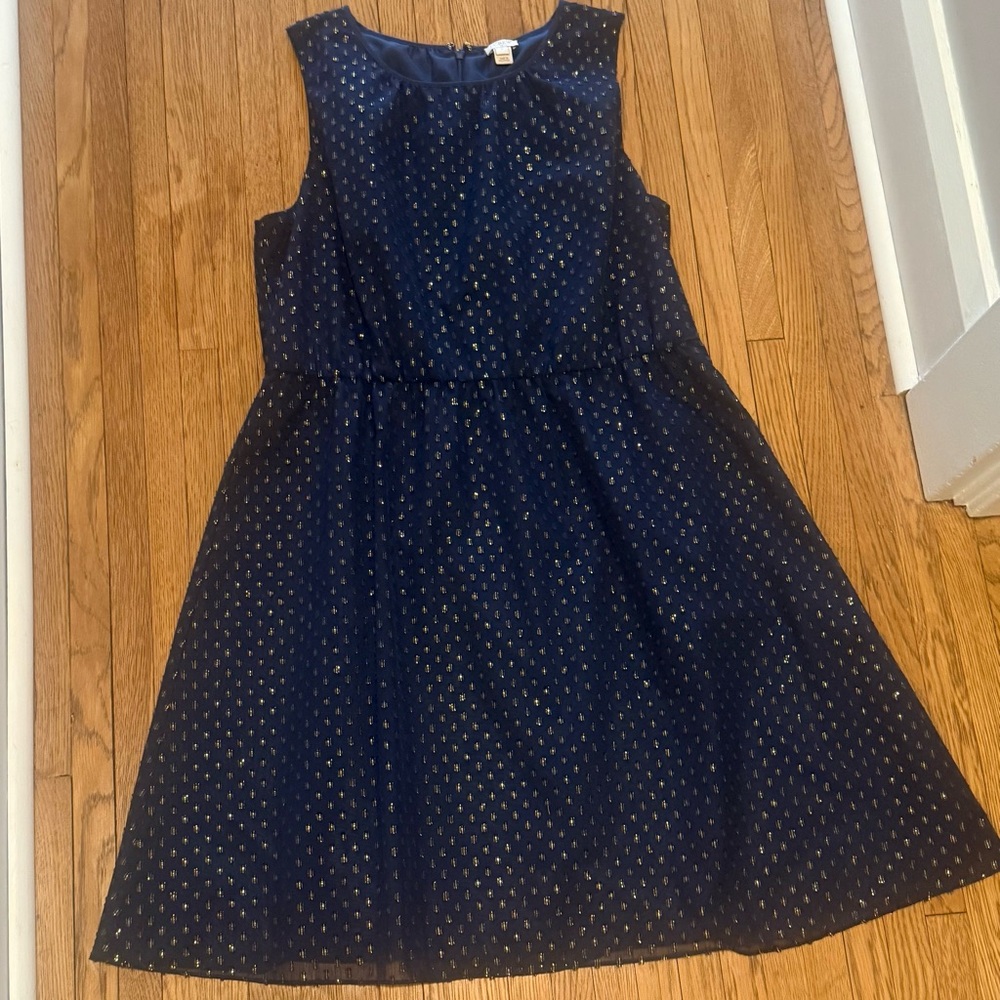J. Crew Navy and Gold  Dress